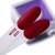ARTISTIC GEL WINE RED 5g 4.jpg