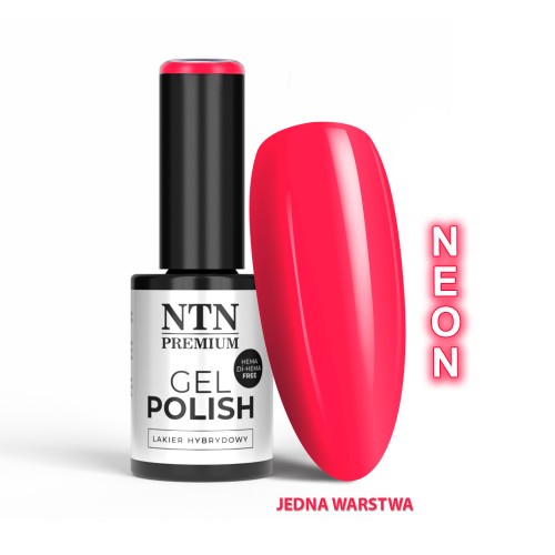 NTN REDS LIMITED EDITION NR 551 HEMA FREE 1.jpg