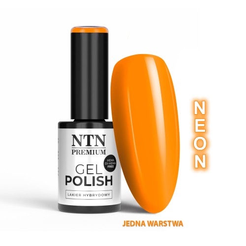NTN ORANGES LIMITED EDITION NR 533 HEMA FREE 1.jpg