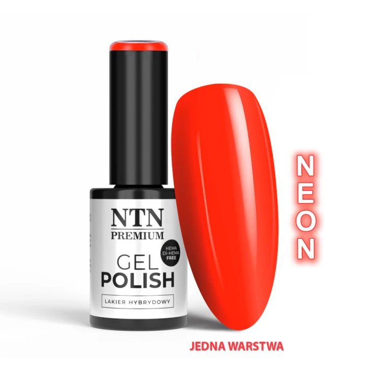 NTN ORANGES LIMITED EDITION NR 536 HEMA FREE 1.jpg