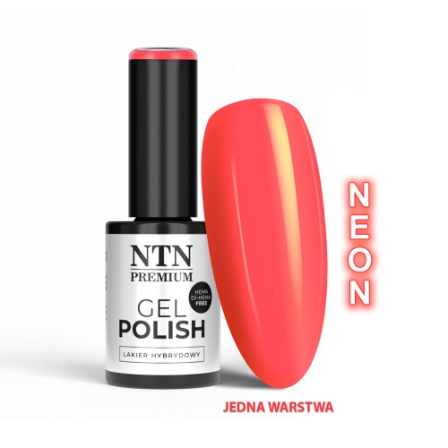 NTN ORANGES LIMITED EDITION NR 537 HEMA FREE 1.jpg