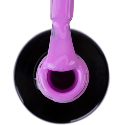 NTN PURPLES LIMITED EDITION NR 549 HEMA FREE 2.jpg