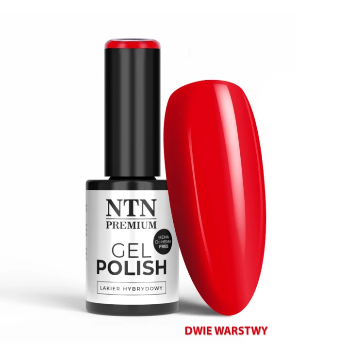 NTN REDS LIMITED EDITION NR 553 HEMA FREE 1.jpg