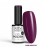 NTN PURPLES LIMITED EDITION NR 550 HEMA FREE 1.jpg