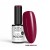 NTN LIMITED EDITION NR 570 HEMA FREE 1.jpg