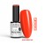 NTN ORANGES LIMITED EDITION NR 572 HEMA FREE 1.jpg
