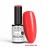 NTN REDS LIMITED EDITION NR 573 HEMA FREE 1.jpg