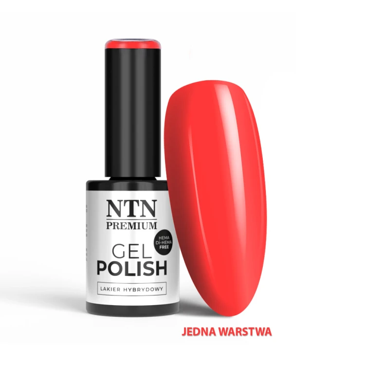 NTN REDS LIMITED EDITION NR 573 HEMA FREE 1.jpg