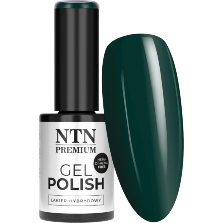 ntn274_1.png