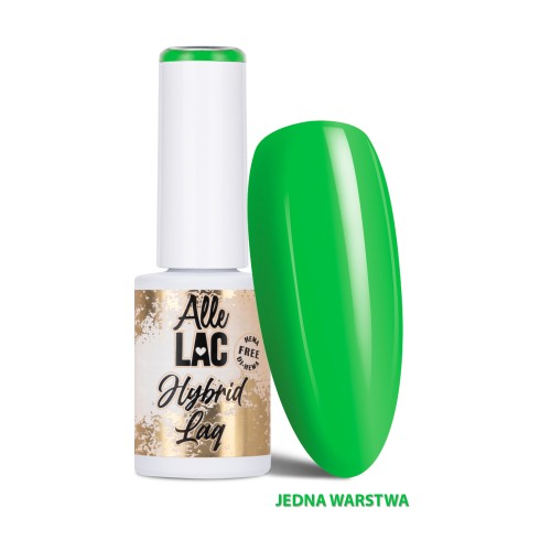 ALLELAC LIMITED EDITION 302 1.jpg
