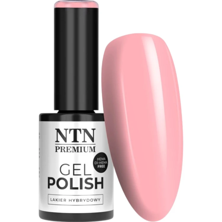 ntn278_1.jpg