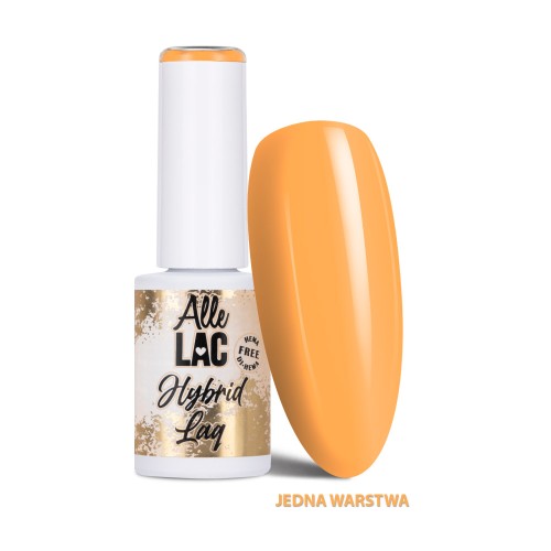 ALLELAC LIMITED EDITION 305 1.jpg