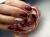 ntn-118 (1).webp