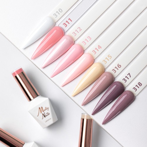 LAKIER HYBRYDOWY MOLLYNAILS 310-318 BUSINESS CLASS.jpg