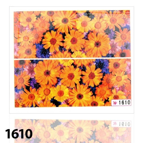 6d3f2336f84630c8a99df2dc02d8f481