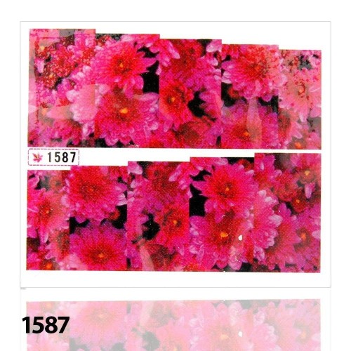 8d1d80683d3bee032cf337e13093ed0b