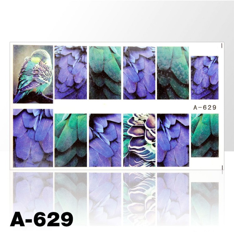 A-629.jpg