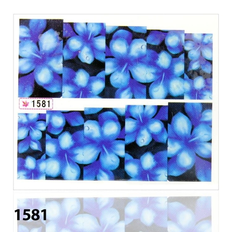 b85d950ba1909dde94b47cf7bc548e8d