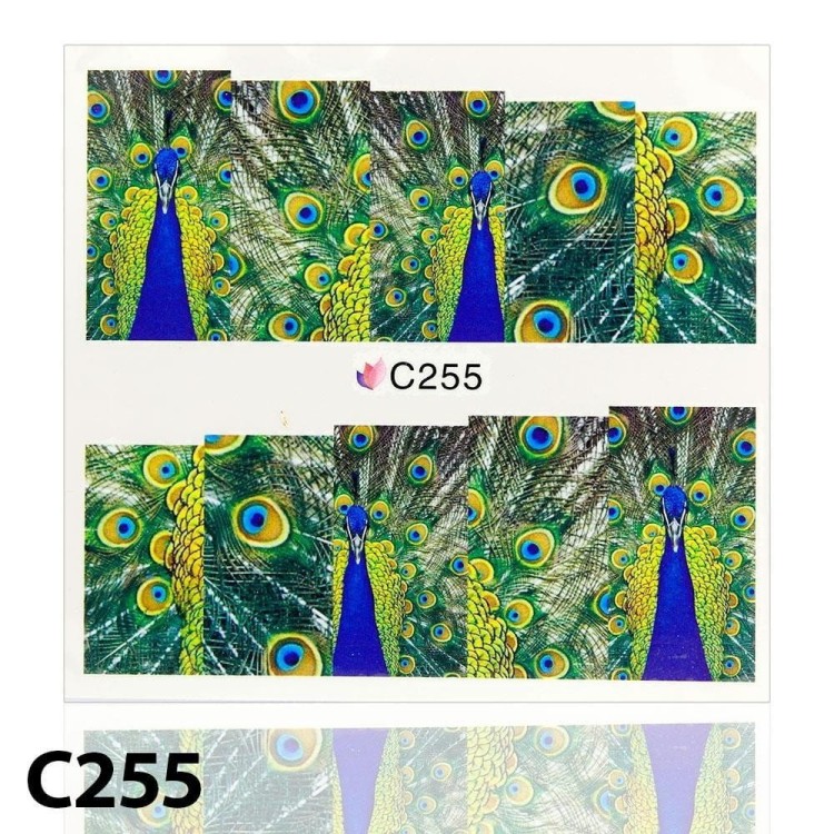 cdf04cc1e89338b0d8ab5e5983624458