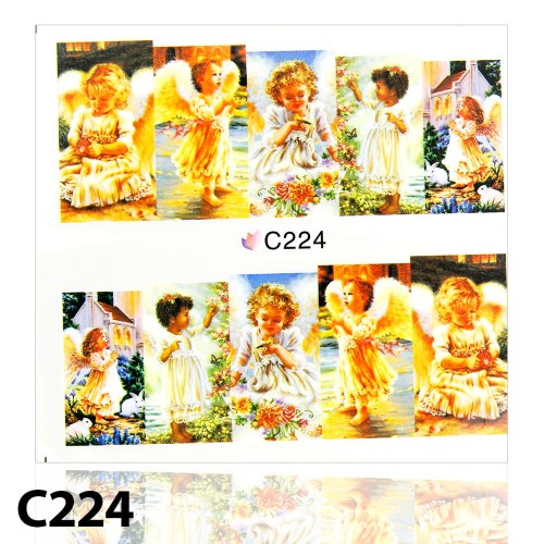 C224.jpg