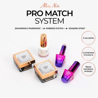 Pro Match System