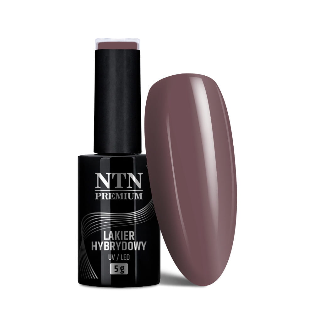 Lakier hybrydowy Ntn Premium Topless Collection 5 g Nr 11 (1).jpg