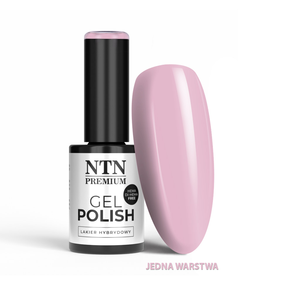 NTN PURPLES LIMITED EDITION NR 547 HEMA FREE 1.jpg